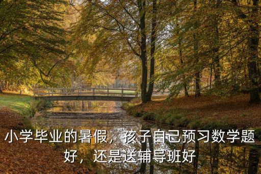 小學畢業(yè)的暑假，孩子自己預習數(shù)學題好，還是送輔導班好