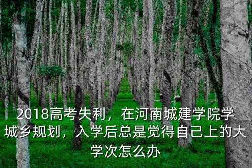 2018高考失利，在河南城建學院學城鄉規劃，入學后總是覺得自己上的大學次怎么辦