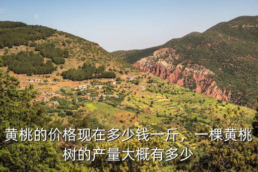 河南周口西華桃多少錢一斤,現在的桃子多少錢一斤
