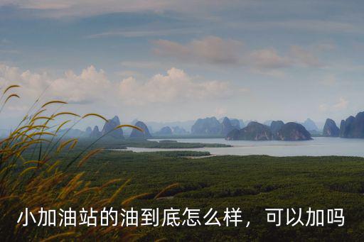 小加油站的油到底怎么樣，可以加嗎