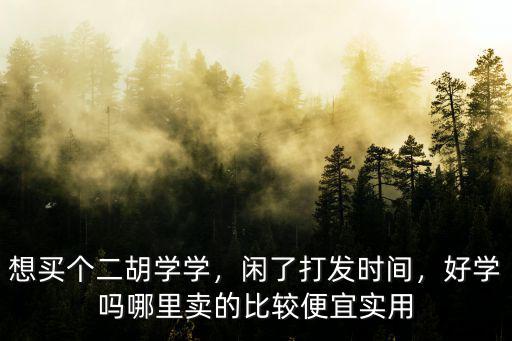 洛陽二胡哪里便宜,便宜的二胡是否音質不好
