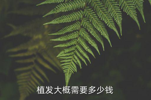 植發大概需要多少錢