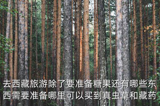 鄭州哪里可以買到正品蟲草,哪里可以買到真蟲草和藏藥