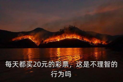 買馬彩票河南怎么開的,每天都買20元的彩票