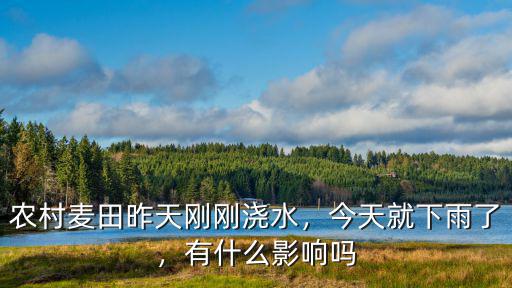 農(nóng)村麥田昨天剛剛澆水，今天就下雨了，有什么影響嗎