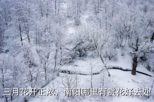 南陽哪里種有櫻桃,南陽哪里有賞花好去處