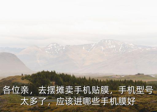 各位親，去擺攤賣手機貼膜，手機型號太多了，應該進哪些手機膜好