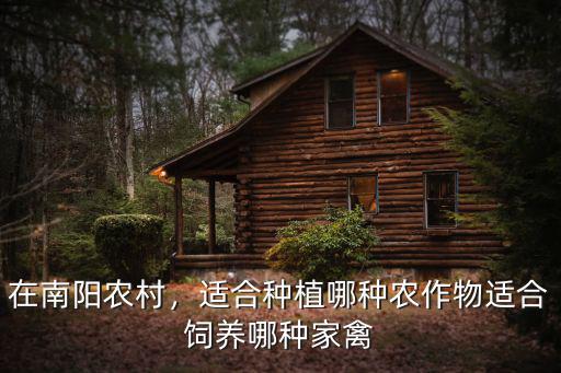 在南陽農村，適合種植哪種農作物適合飼養哪種家禽