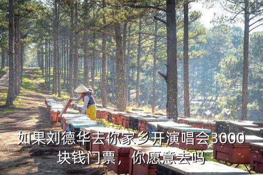 如果劉德華去你家鄉開演唱會3000塊錢門票，你愿意去嗎