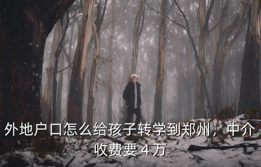 外地戶口怎么給孩子轉學到鄭州，中介收費要４萬