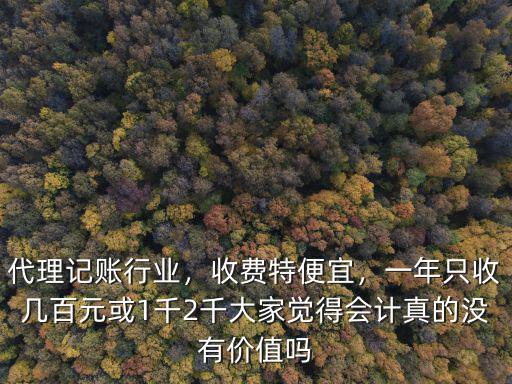 代理記賬行業(yè)，收費特便宜，一年只收幾百元或1千2千大家覺得會計真的沒有價值嗎
