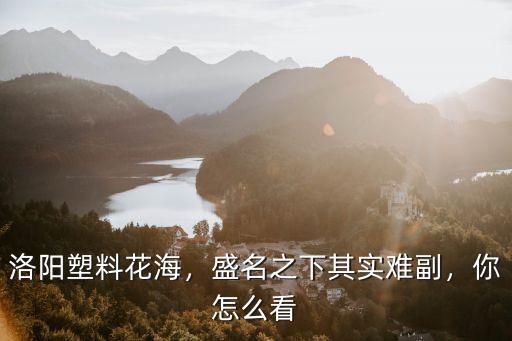 洛陽塑料花海，盛名之下其實難副，你怎么看