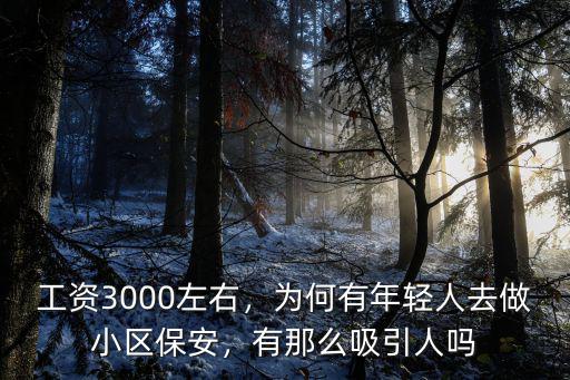 駐馬店保安工資一般多少,跟車(chē)押運(yùn)保安工資一般多少