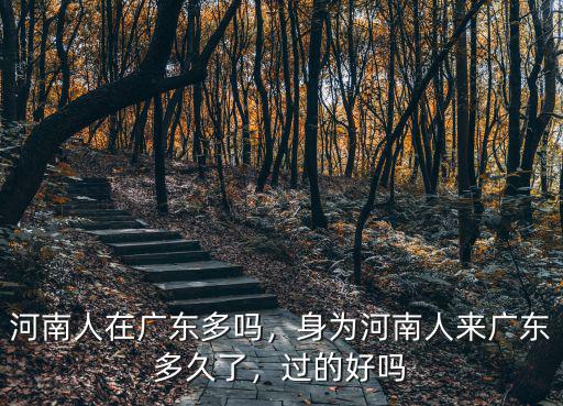 廣東河源市有多少河南人,河南人在廣東多嗎