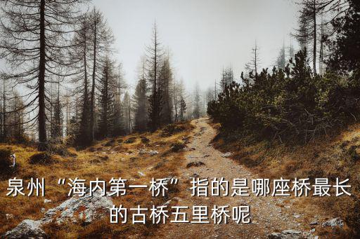 海內(nèi)第一橋洛陽(yáng)橋在哪里,泉州海內(nèi)第一橋指的是哪座橋