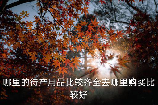哪里的待產(chǎn)用品比較齊全去哪里購買比較好