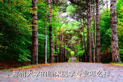 鄭州大學的臨床醫學專業怎么樣