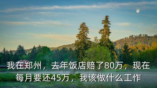 我在鄭州，去年飯店賠了80萬，現在每月要還45萬，我該做什么工作