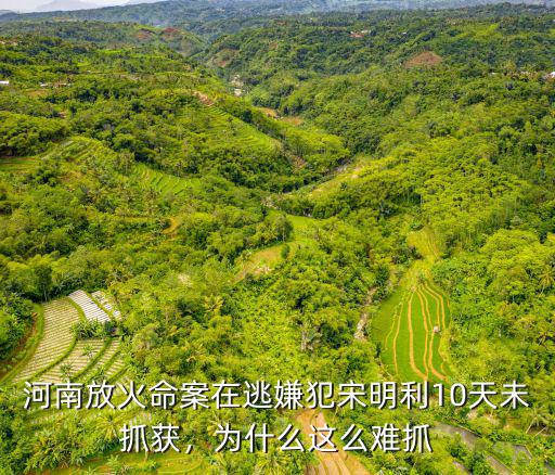 河南放火命案在逃嫌犯宋明利10天未抓獲，為什么這么難抓