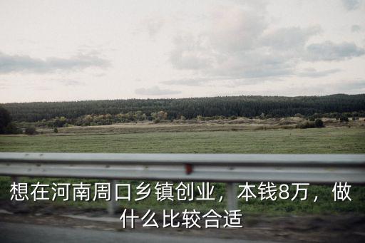 想在河南周口鄉(xiāng)鎮(zhèn)創(chuàng)業(yè)，本錢8萬(wàn)，做什么比較合適