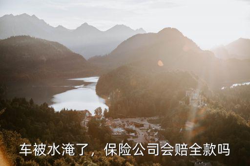 車被水淹了，保險公司會賠全款嗎