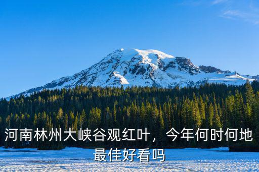 河南林州大峽谷觀紅葉，今年何時何地最佳好看嗎