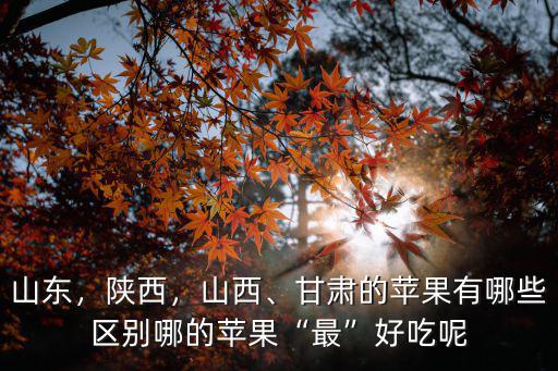 山東，陜西，山西、甘肅的蘋果有哪些區(qū)別哪的蘋果“最”好吃呢