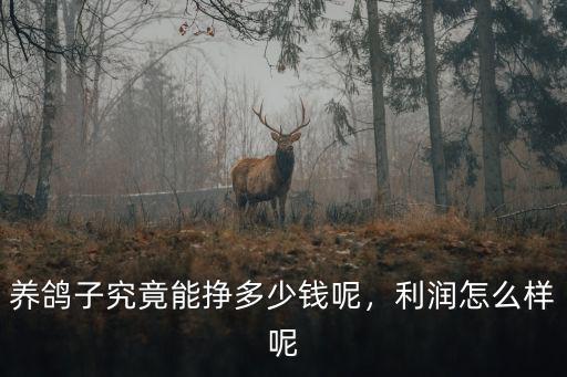 養鴿子究竟能掙多少錢呢，利潤怎么樣呢