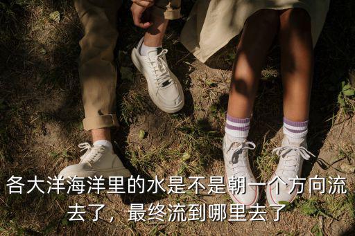 各大洋海洋里的水是不是朝一個方向流去了，最終流到哪里去了