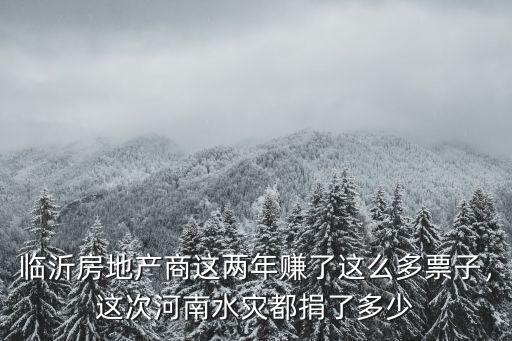 臨沂房地產商這兩年賺了這么多票子，這次河南水災都捐了多少
