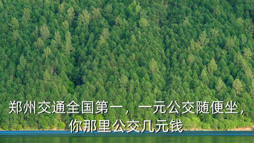 鄭州交通全國(guó)第一，一元公交隨便坐，你那里公交幾元錢(qián)