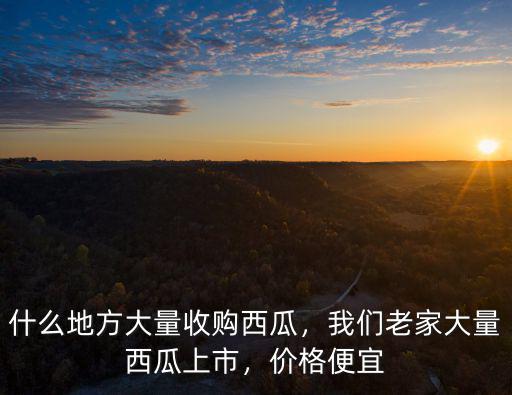 什么地方大量收購西瓜，我們老家大量西瓜上市，價格便宜