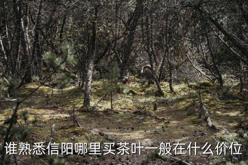 誰熟悉信陽哪里買茶葉一般在什么價位
