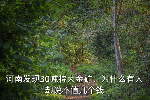 河南五虎圖多少錢,河南農村有多少錢算有錢
