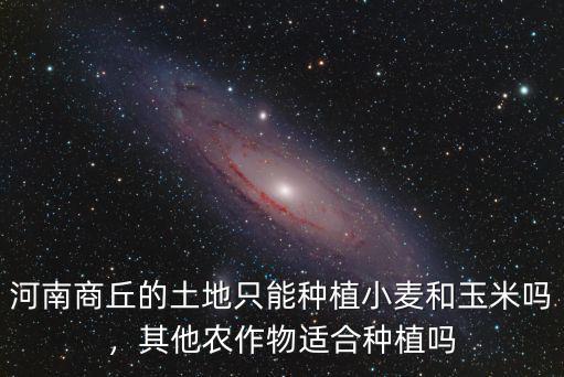 河南包地種小麥玉米怎么樣,只種小麥和玉米