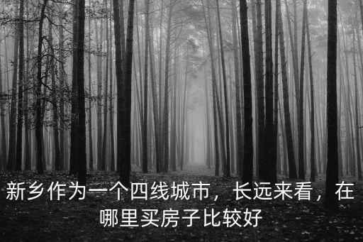 新鄉作為一個四線城市，長遠來看，在哪里買房子比較好