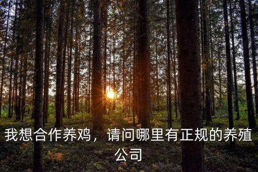 我想合作養雞，請問哪里有正規的養殖公司