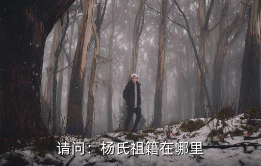 請問：楊氏祖籍在哪里