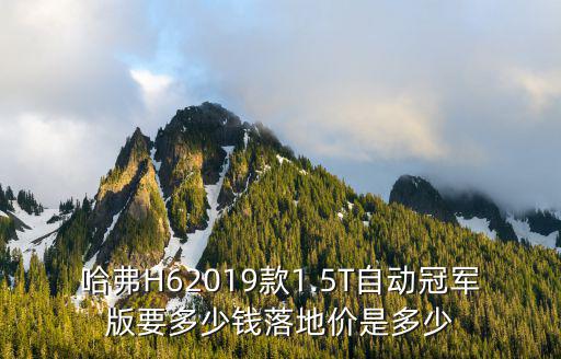 新鄉冠軍版落地多少錢,辦完落地大概多少錢
