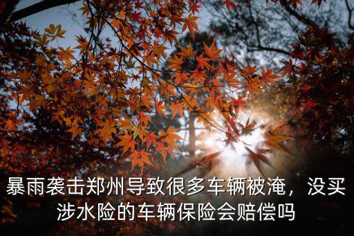 暴雨襲擊鄭州導致很多車輛被淹，沒買涉水險的車輛保險會賠償嗎