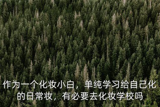 作為一個(gè)化妝小白，單純學(xué)習(xí)給自己化的日常妝，有必要去化妝學(xué)校嗎