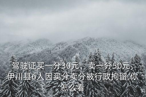 焦作駕駛證分多少錢一分,駕駛證買一分30元