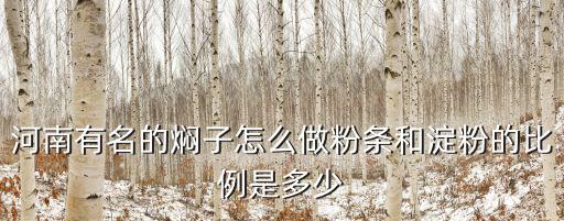 河南有名的燜子怎么做粉條和淀粉的比例是多少