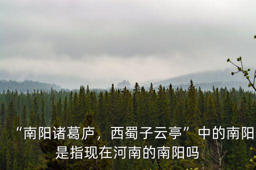 “南陽諸葛廬，西蜀子云亭”中的南陽是指現在河南的南陽嗎