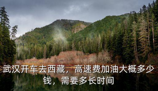 鄭州開車去武漢需要加油多少錢,武漢開車去西藏