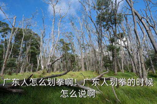 廣東人怎么劃拳??！廣東人劃拳的時候怎么說啊
