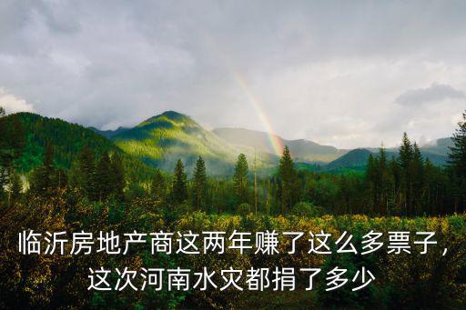 臨沂房地產(chǎn)商這兩年賺了這么多票子，這次河南水災(zāi)都捐了多少
