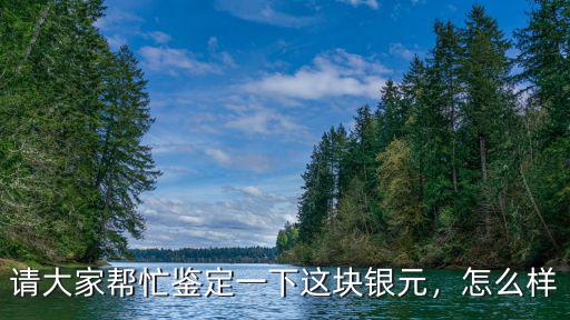 商丘銀元怎么樣,銀元收藏現在怎么樣