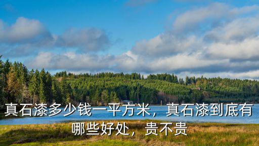 新鄉(xiāng)天然真石漆多少錢,真石漆多少錢一平方米