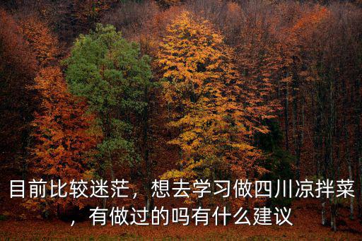 目前比較迷茫，想去學(xué)習(xí)做四川涼拌菜，有做過的嗎有什么建議
